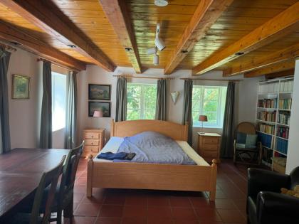 Großes Reet gedecktes Ferienhaus Schlei Ostsee Kappeln