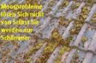 DER PROFI MACHT S