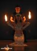 ShowFire das andere Erlebnis