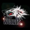 NORDERSTEDT LADY WOLVES - AMERICAN FOOTBALL
