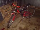 Mountain-Bike