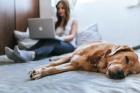 Homeoffice Chatmoderator